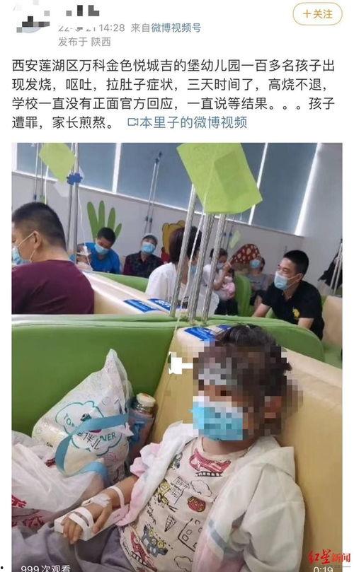 西安最新幼儿园爆料,揭秘园所现状与家长关注焦点