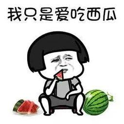 娱乐圈吃瓜该怎么吃,如何优雅地成为“瓜民”  第2张