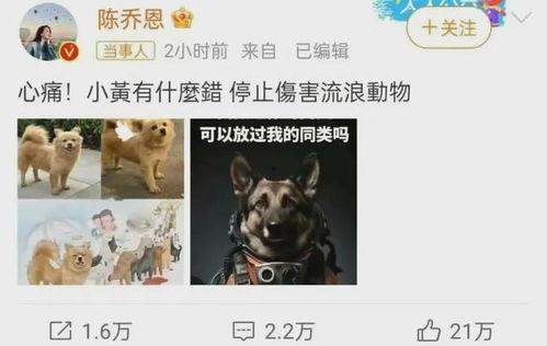 二狗爆料谢航视频大全集,谢航视频大全集深度解析 第3张 二狗爆料谢航视频大全集,谢航视频大全集深度解析 第3张