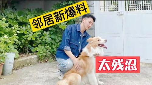 二狗子邻居爆料视频,邻里纠纷背后的惊人真相  第3张