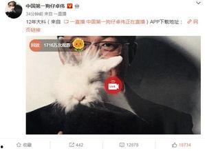 最新爆料大鲜肉视频播放,揭秘幕后真相与惊人播放量  第2张